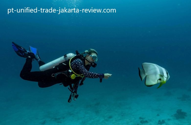 Menyelam di Pulau Maladewa: Surga Tropis di Samudra Hindia Menyelam di Pulau Maladewa: Surga Tropis di Samudra Hindia