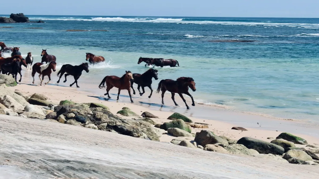 Nihiwatu: Surga Tersembunyi di Sumba Barat yang Menyatu dengan Ombak dan Keheningan Nihiwatu: Surga Tersembunyi di Sumba Barat