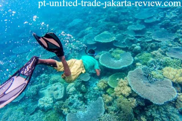 Wisata Alam Terbaru di Wakatobi